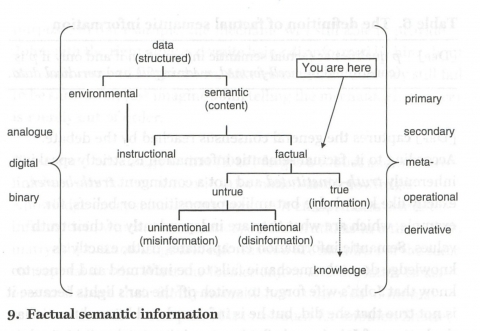 Factual semantic information