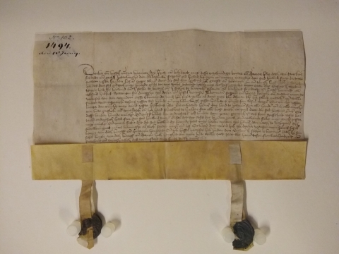 HCL Toegang 1001, Inventarisnummer 97 - Akte van kwijting door Doeke en Hessel Martena ten behoeve van de stad Leeuwarden vanwege de verkoop van drie stukken grond aan de Tuinen in verband met de aanleg van de nieuwe wal en gracht aldaar, 1494.